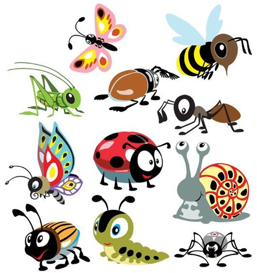 Насекомые рисунок Насекомые клипарт