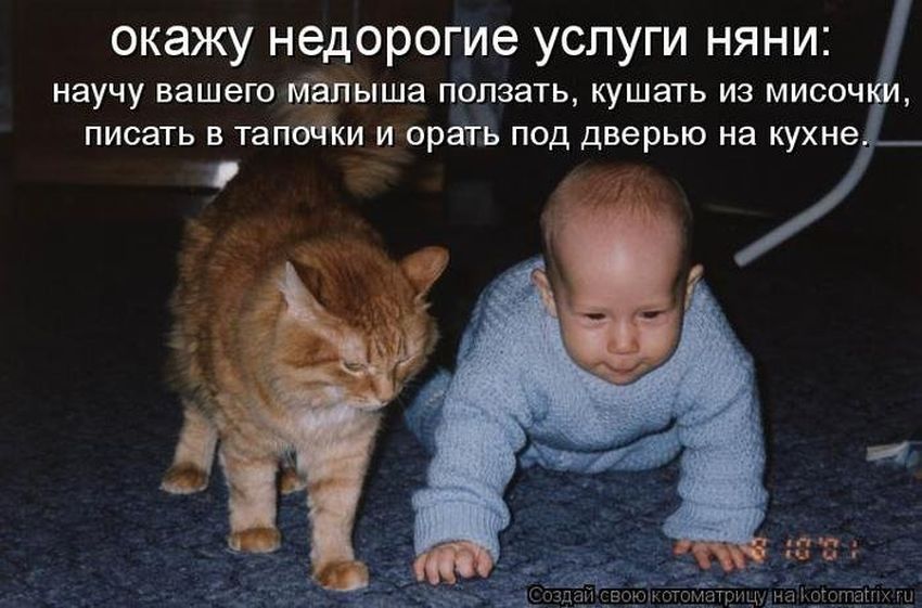 Смешные дети с надписями Кошки