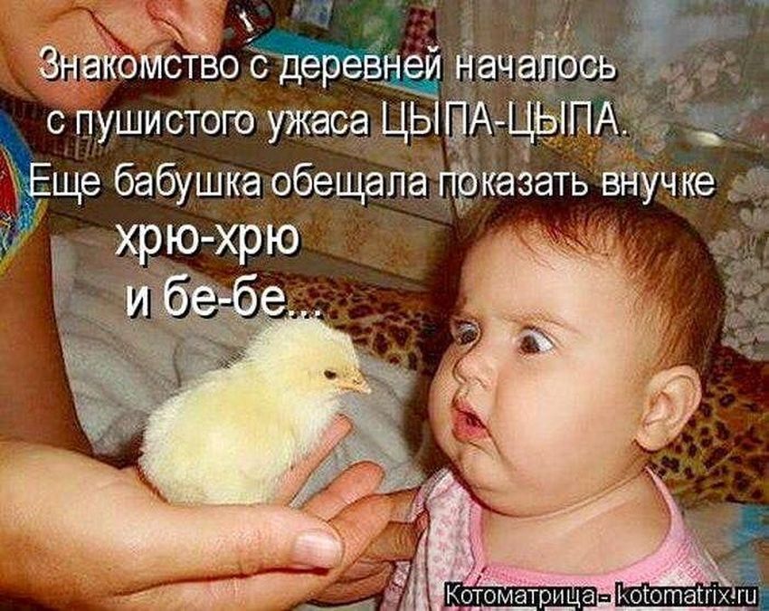 Смешные дети Цыпленок смешной