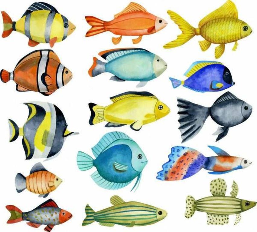 Цветные рыбы