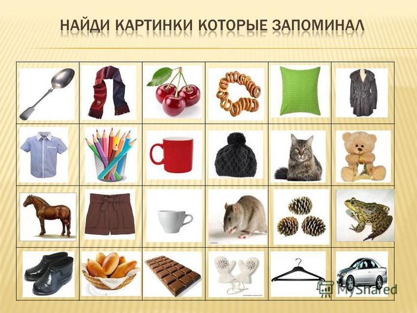 Предметы для запоминания