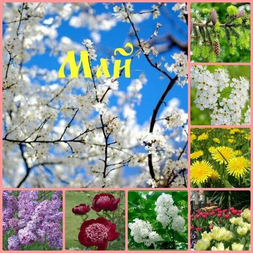 Весна апрель