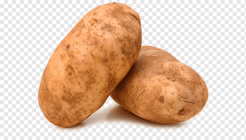Сорт картофеля