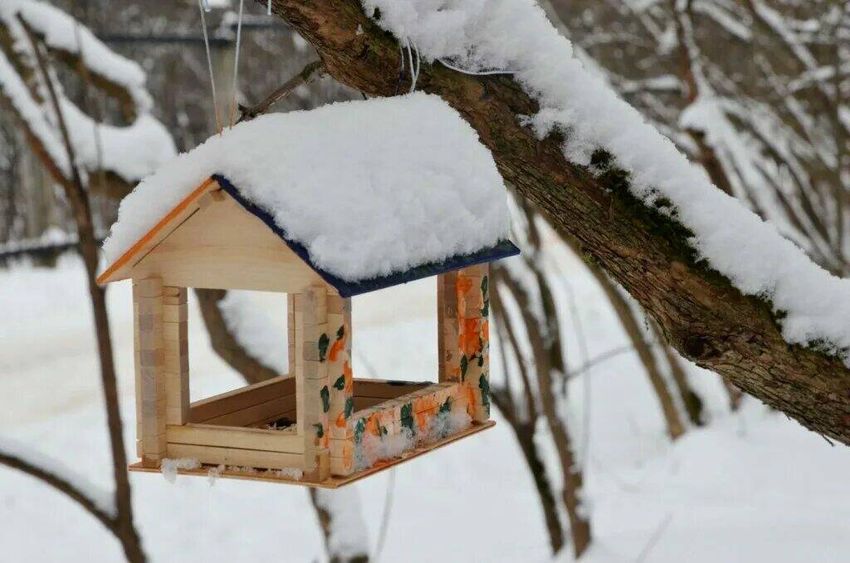 Кормушка для птиц Зимняя кормушка для птиц