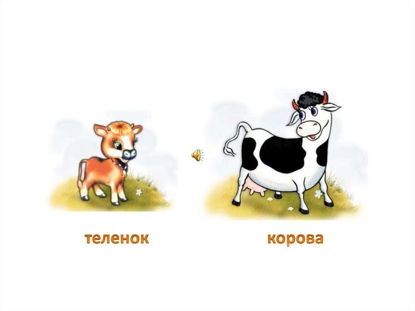 Изображения домашних животных для детей