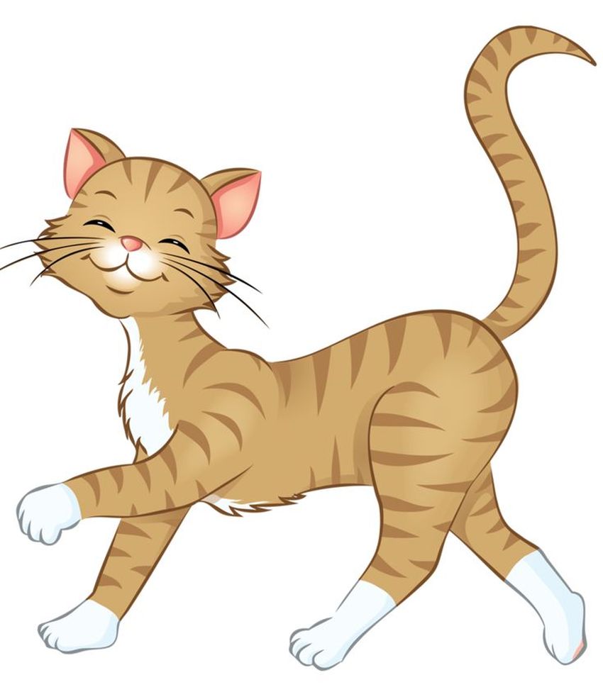 Кот клипарт на прозрачном фоне