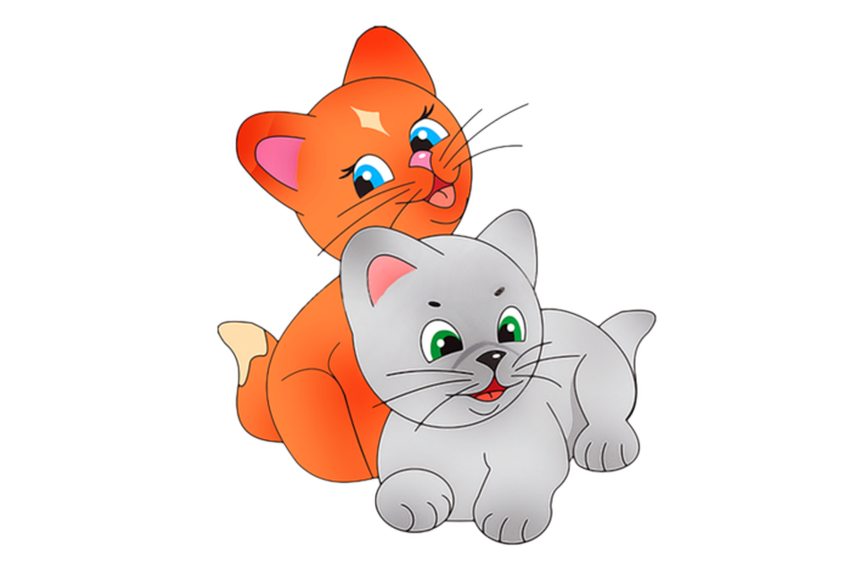 Кот для детей