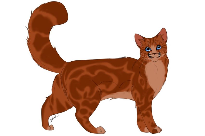 Коты воители вики