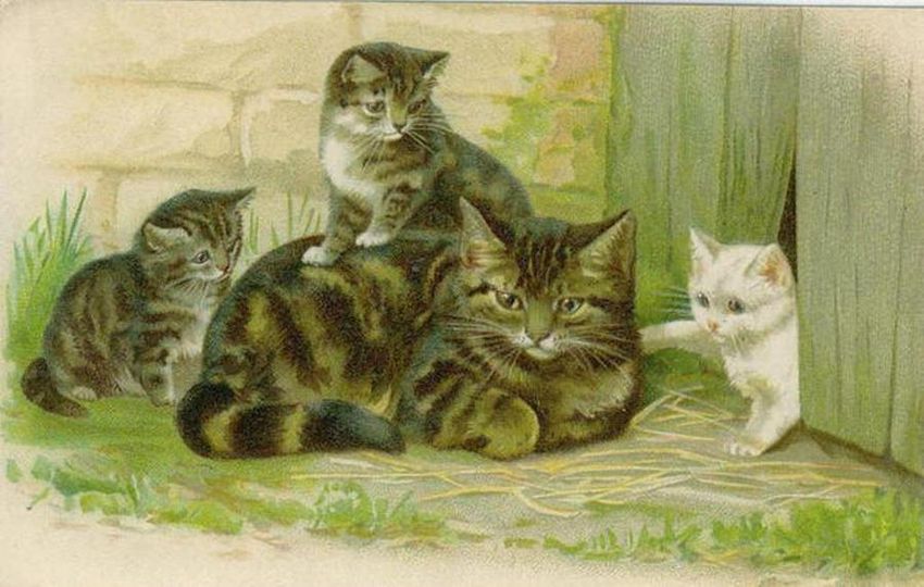Рисунок кошка с котятами