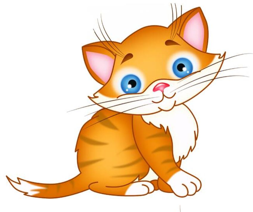 Кот для детей