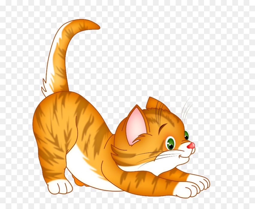 Котенок картинка для детей на прозрачном фоне
