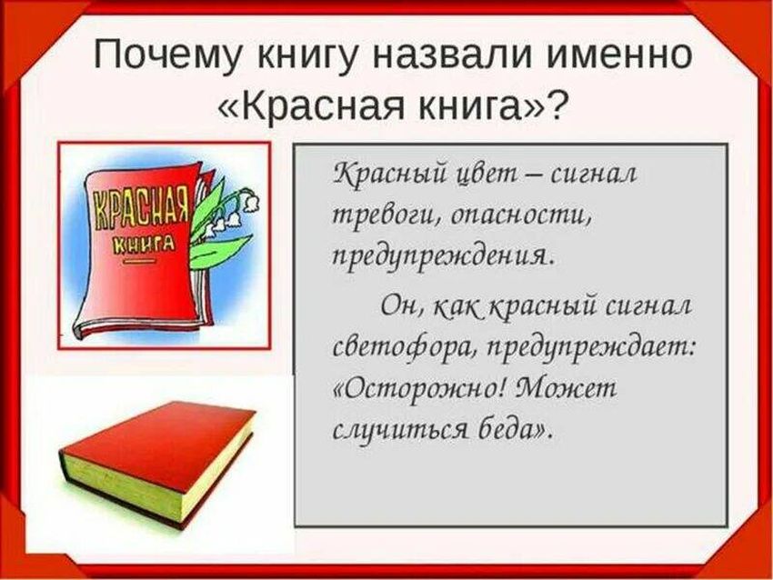 Красная книга проект