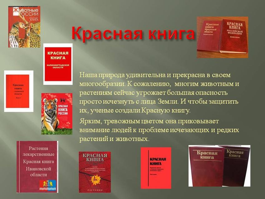 Красная книга красные книги