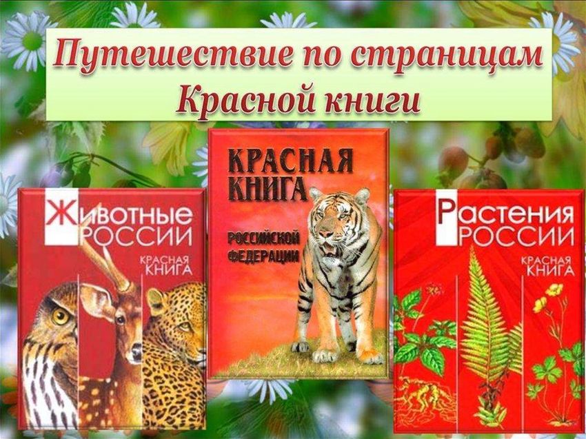 Красная книга россии