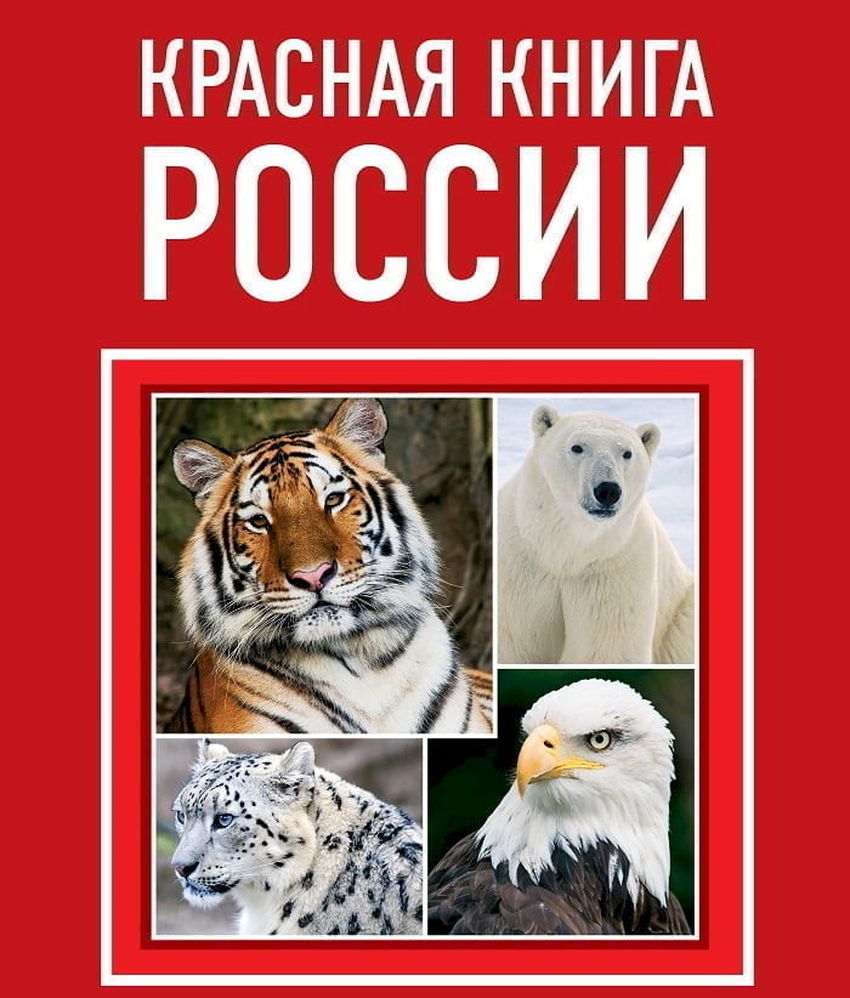 Красная книга