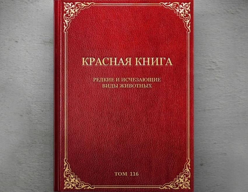 Красная книга картинка для детей