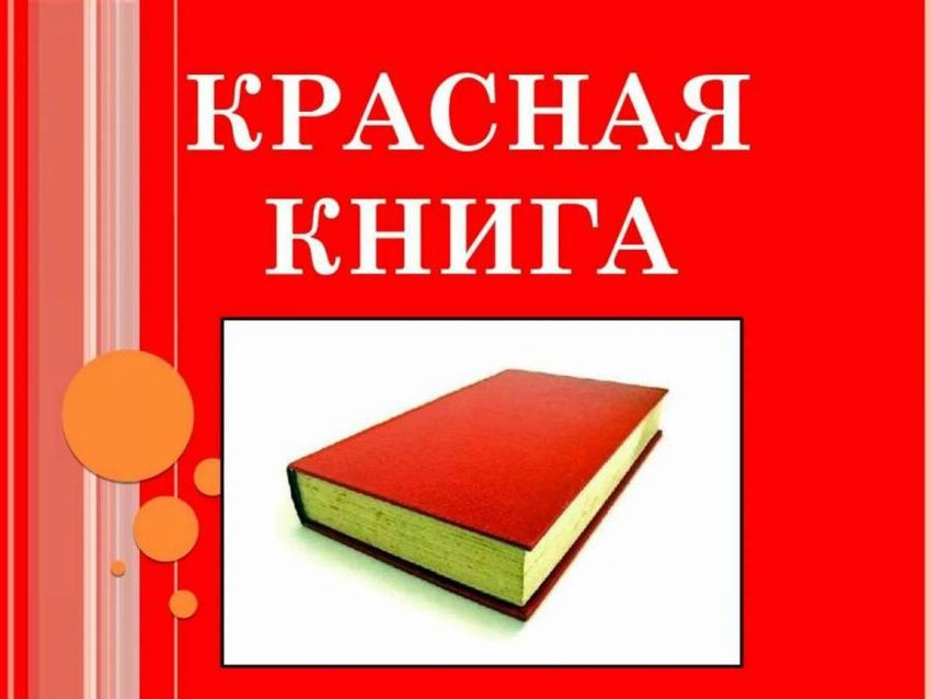 Красная книга красные книги