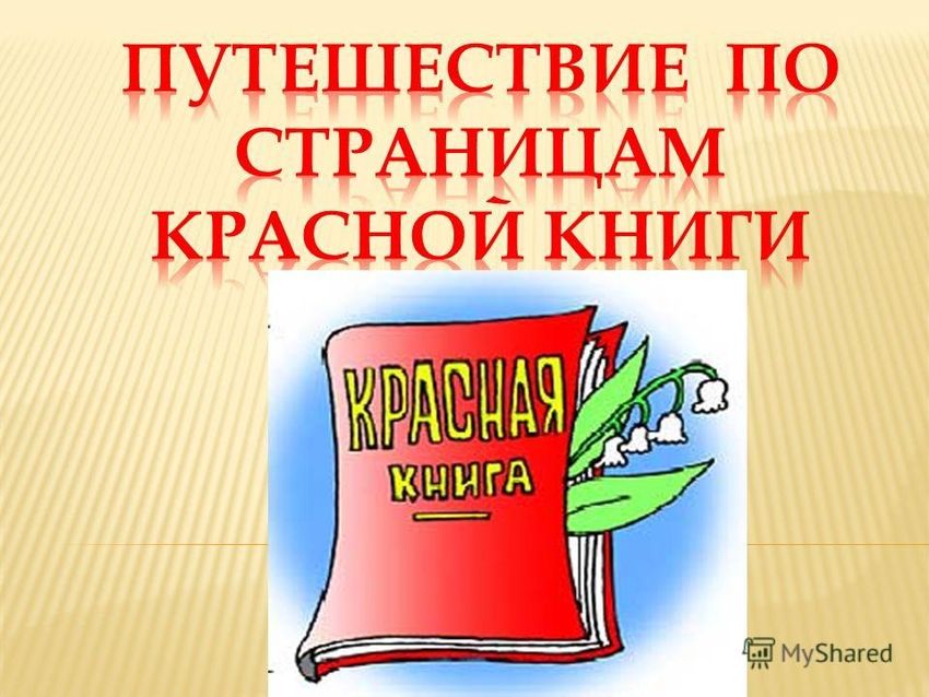 Путешествие по страницам красной книги