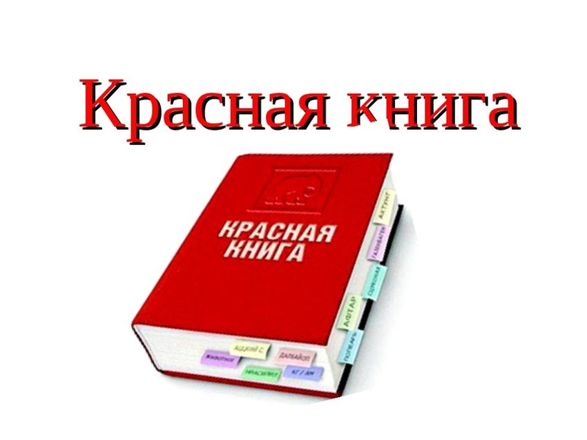 Международная красная книга