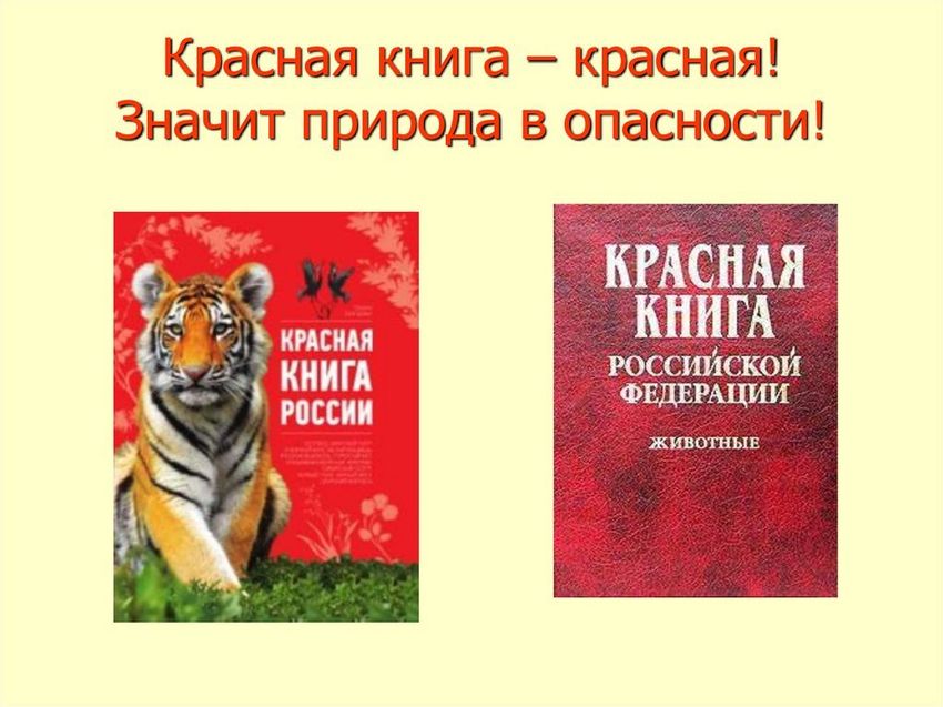 Красная книга россии