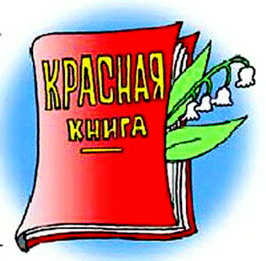 Красная книга рисунок