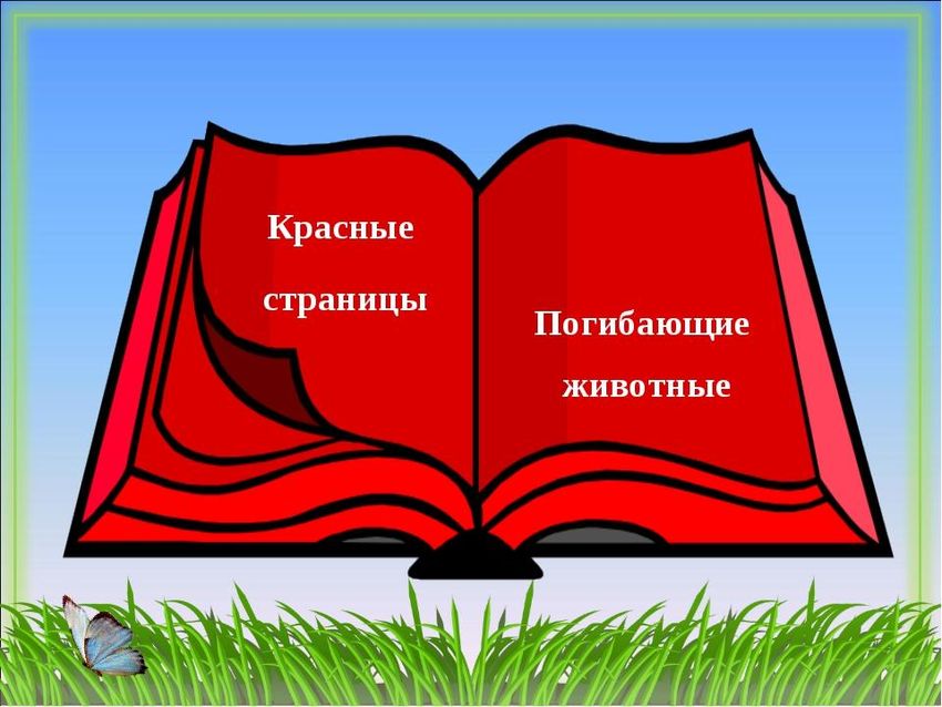 Рисунок красной книги