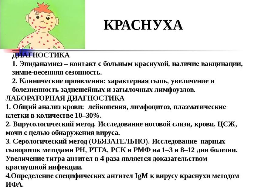 Краснуха Что такое краснуха у детей