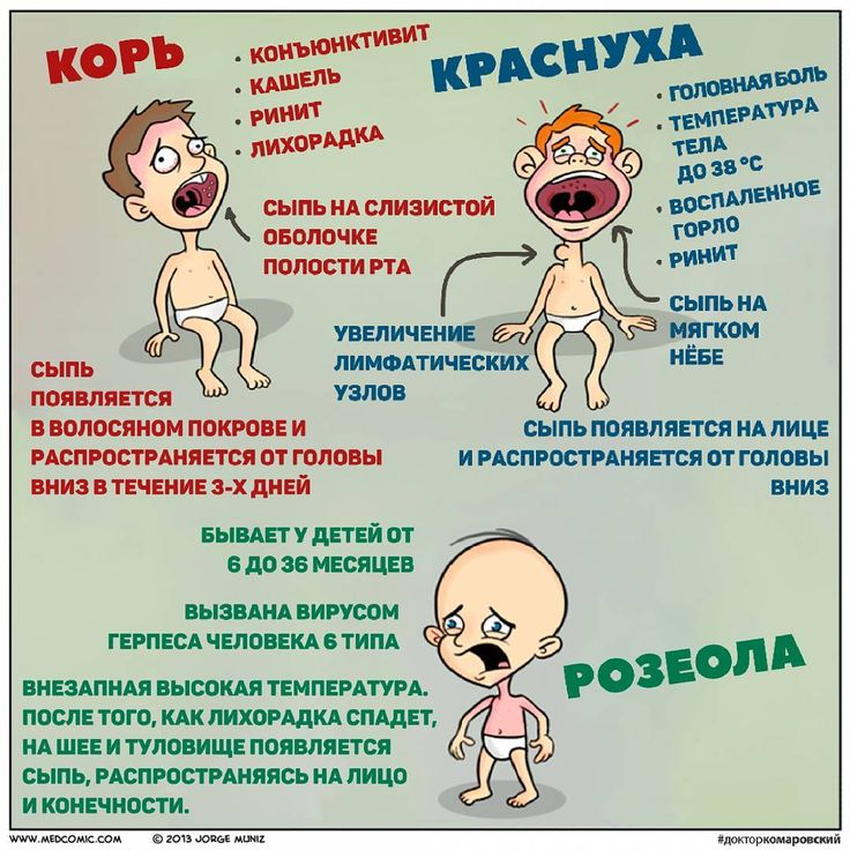 Розеола Краснуха корь