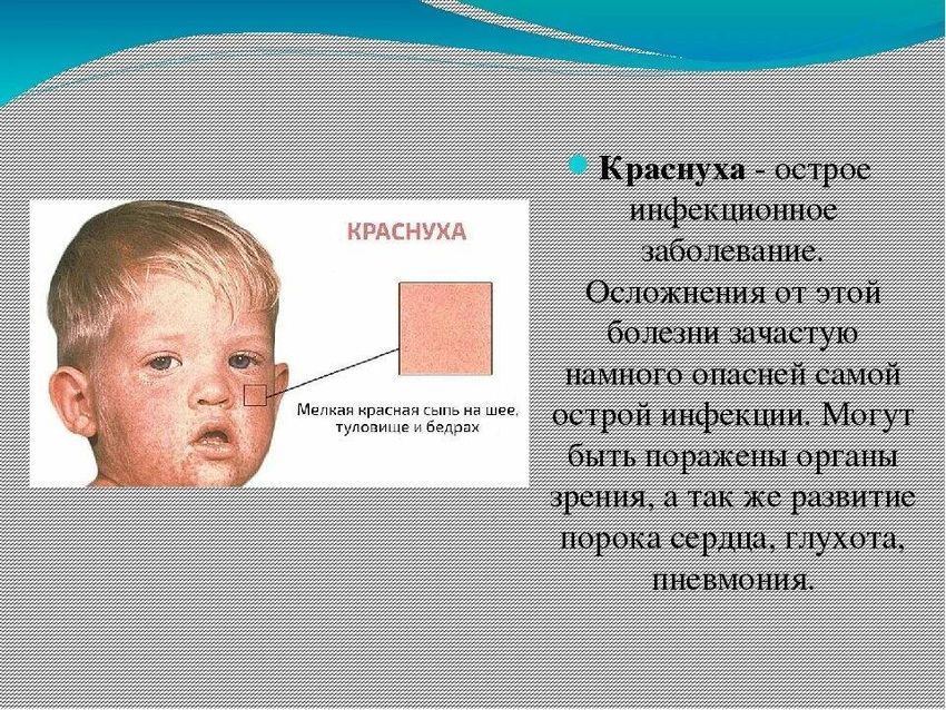 Краснуха Корь краснуха