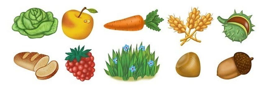 Овощи и фрукты для дошкольников