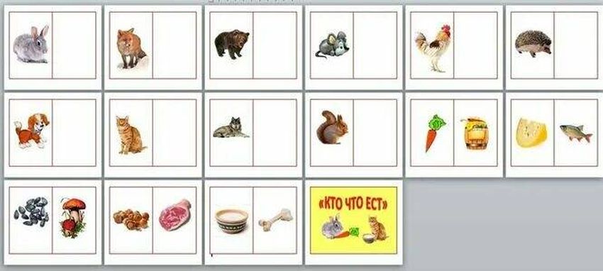 Карточки еда для животных