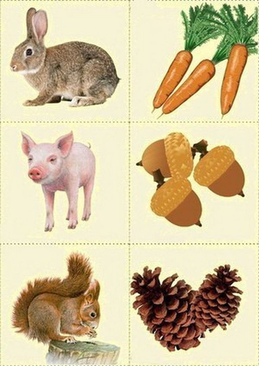 Еда диких животных
