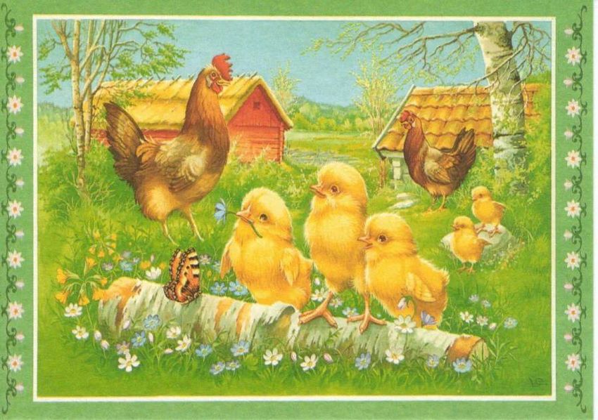 Курочка с цыплятами