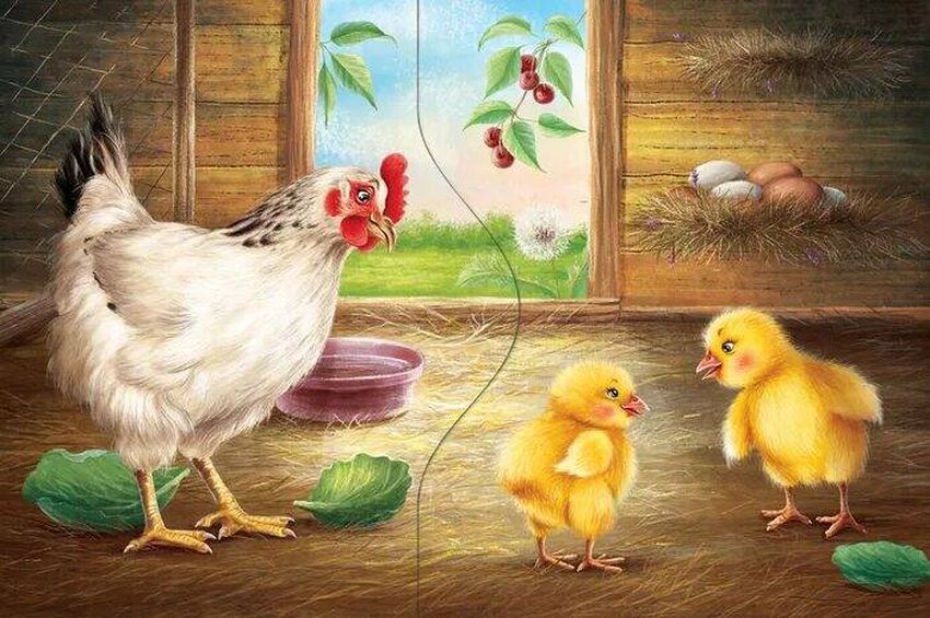 Рисунок курица с цыплятами