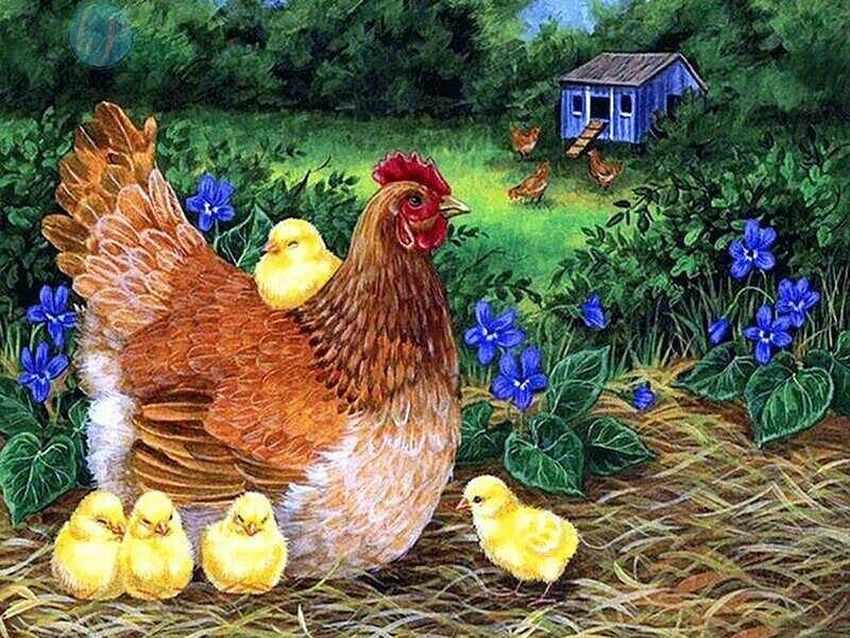 Курица и цыплята