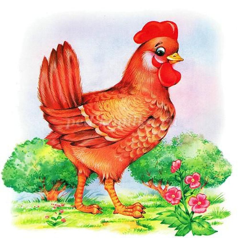 Петушок
