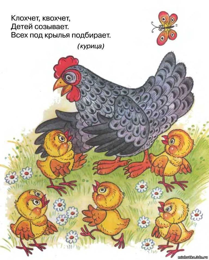 Иллюстрации к потешке курочка рябушечка