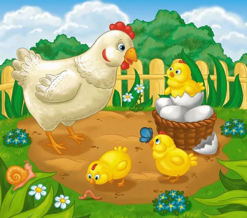 Птичий двор гадкий утенок Рисунок курица с цыплятами