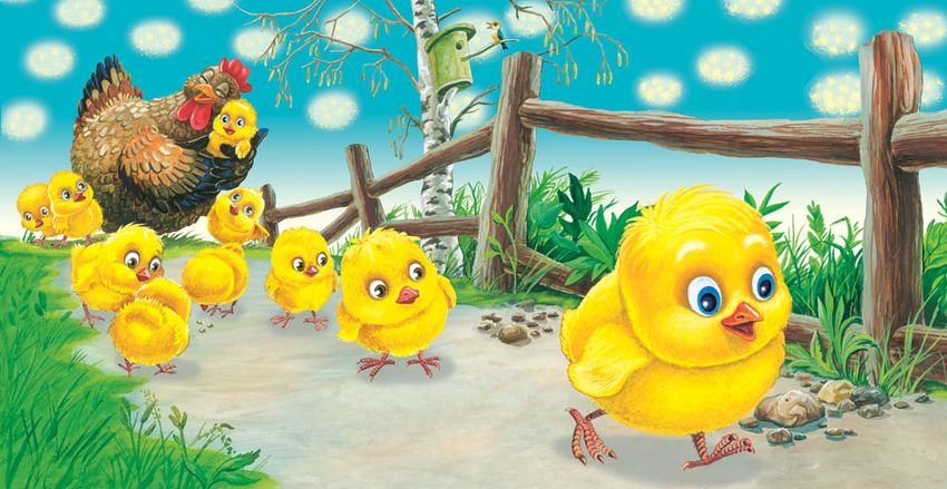 Группа цыплята Цыпленок