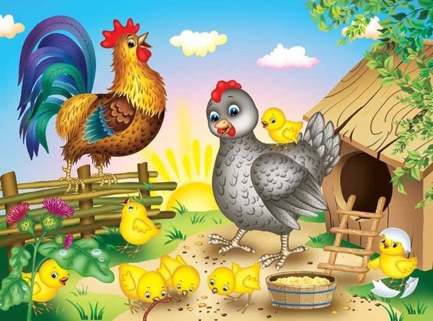 Домашние птицы Курочка для детей