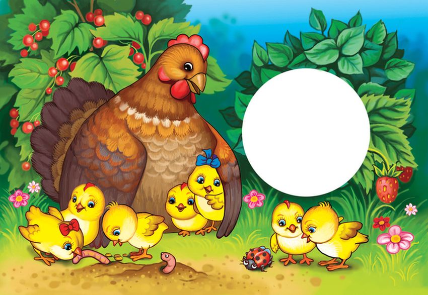 Курочка ряба Курочка и цыплята