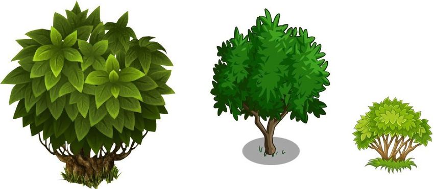 Куст клипарт