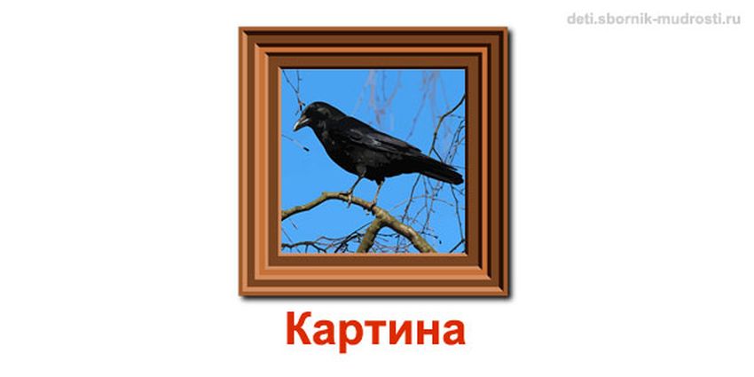 Грач птица