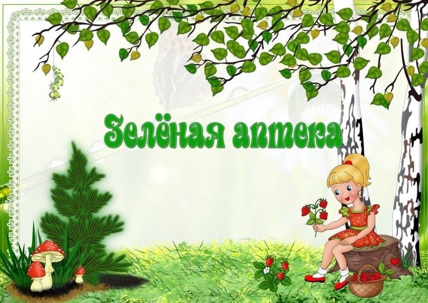 Оформление группы березка