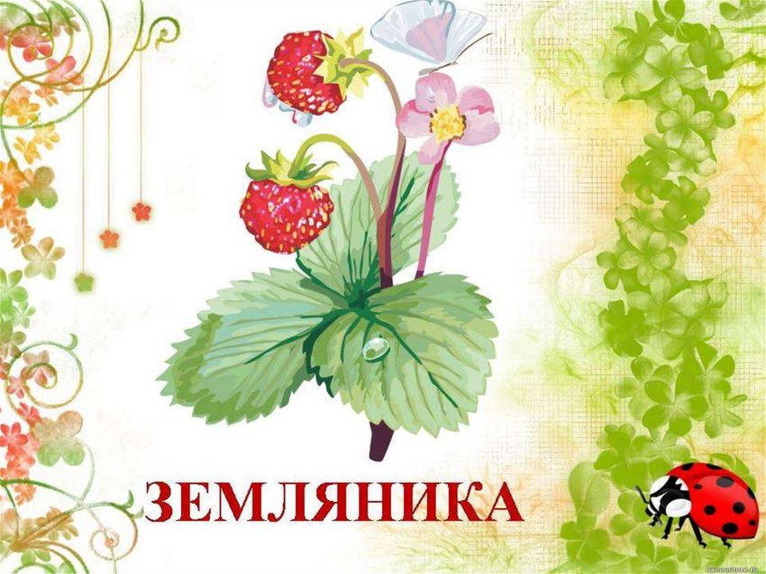 Земляника карточки для детей