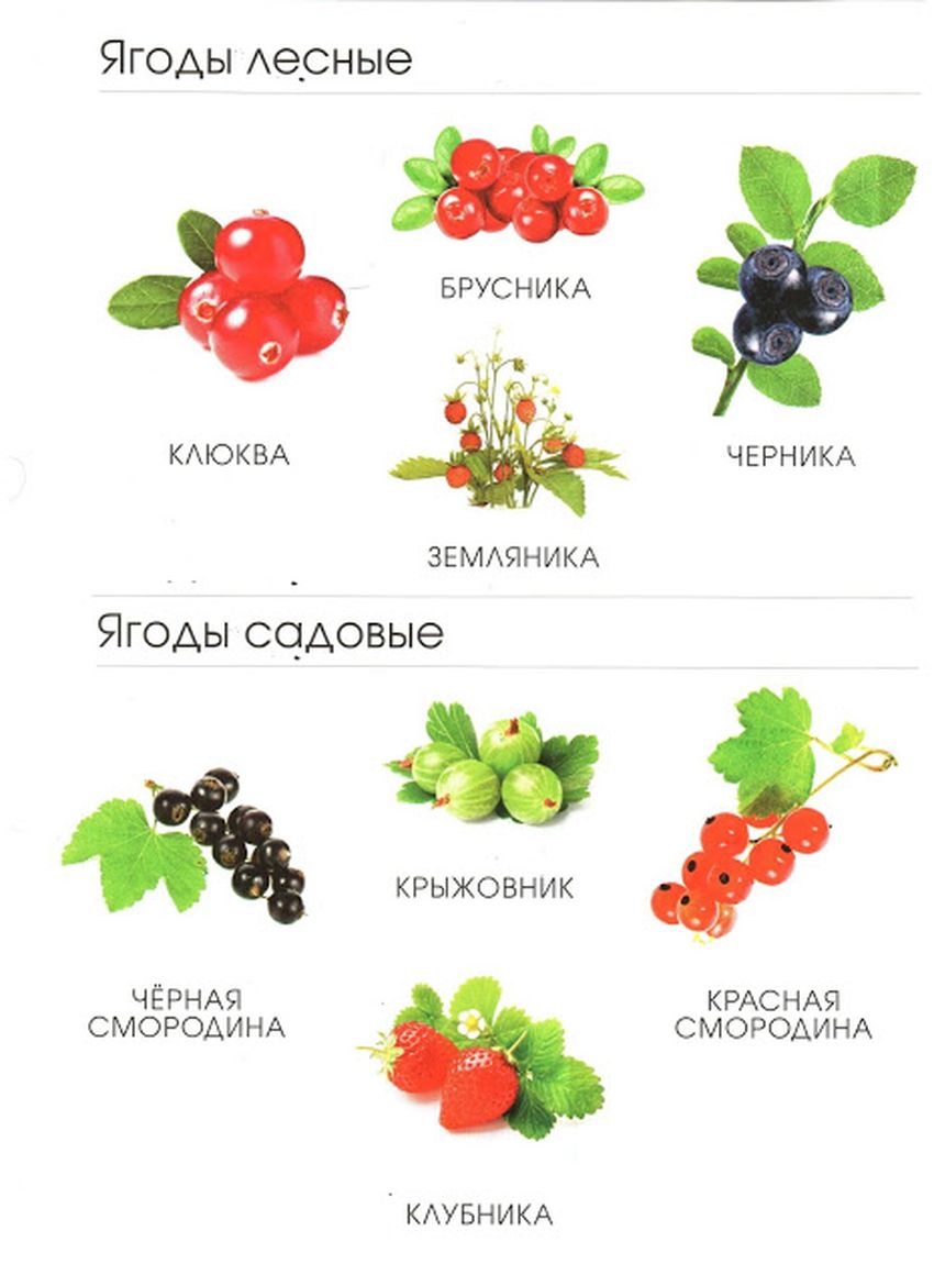 Садовые ягоды