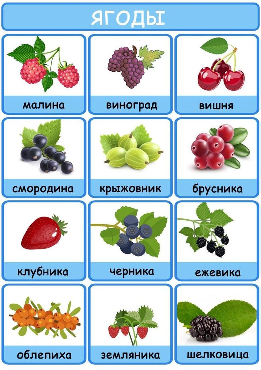 Ягоды для детей
