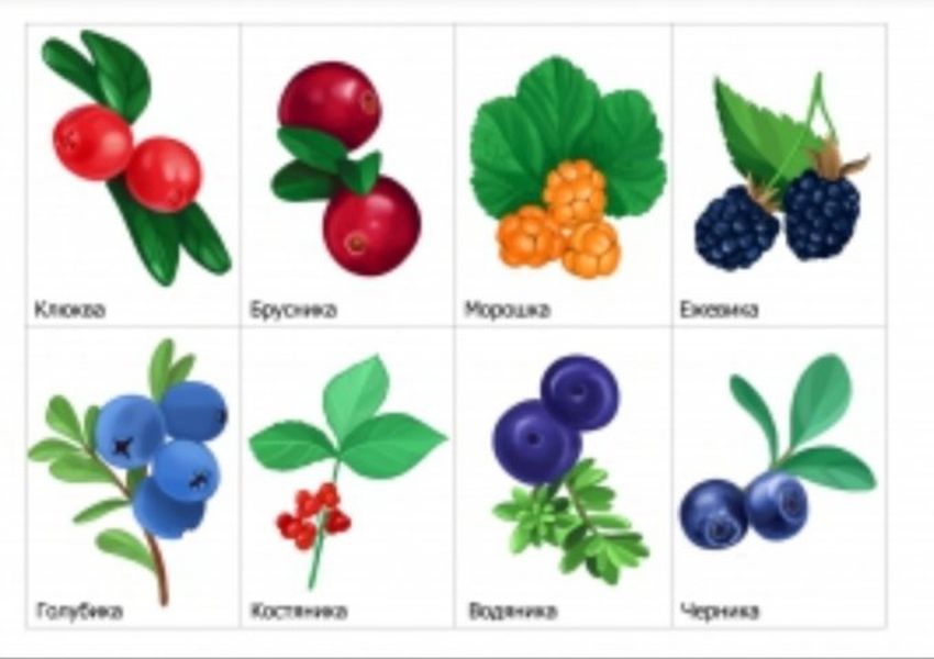 Ягоды для детей