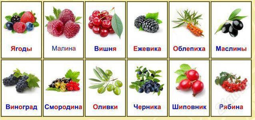 Карточки ягоды для детей