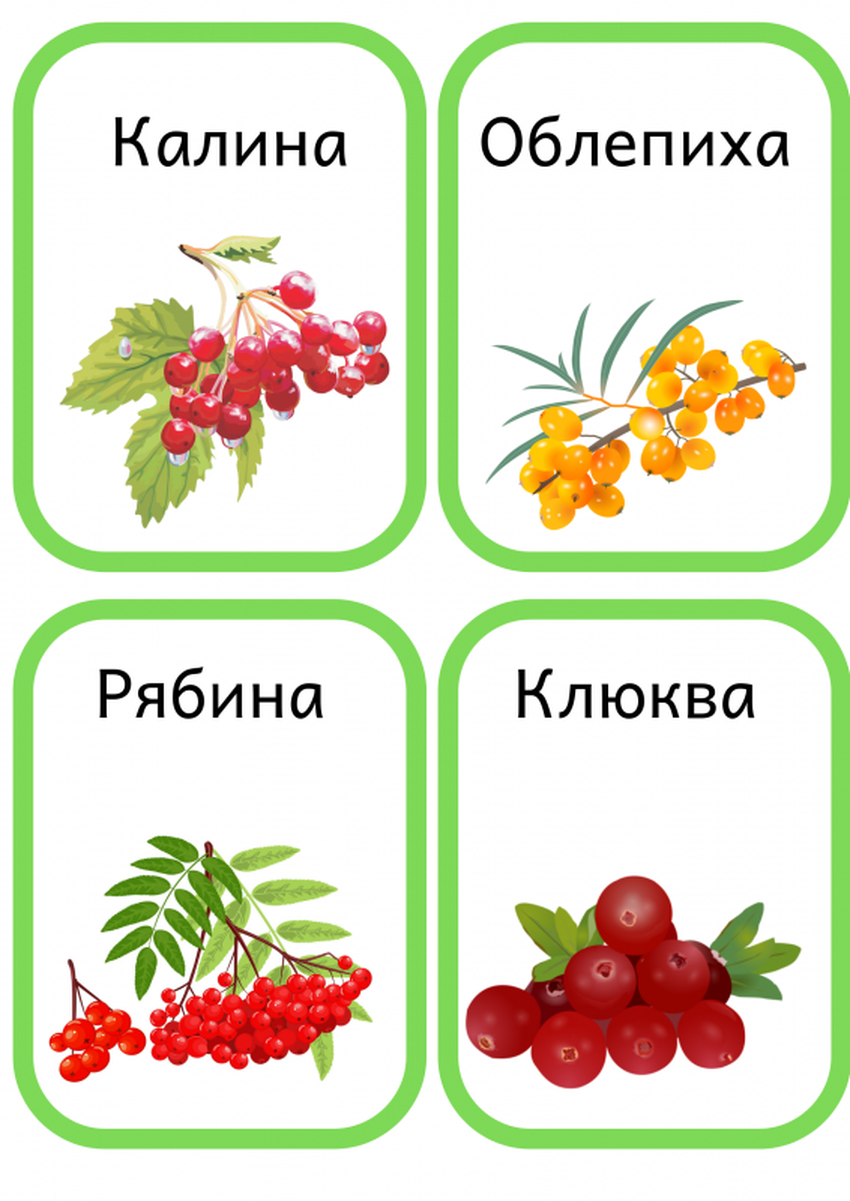Карточки ягоды для детей